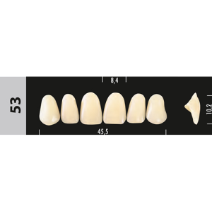 Стоматорг - Зубы Major B4 53, 28 шт (Super Lux)