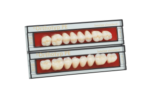 Стоматорг - Зубы SR Orthotyp PE Набор из 8 зубов Chromascop жеват.низ. N4 2A.