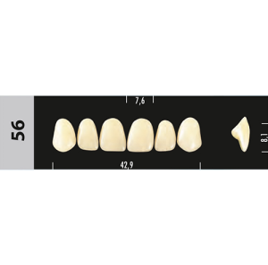 Стоматорг - Зубы Major B4 56, 28 шт (Super Lux)