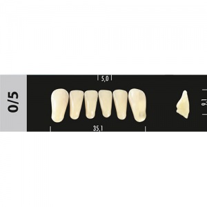 Стоматорг - Зубы Major D4  0/5 фронтальный низ, 6 шт (Super Lux)
