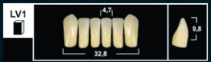 Стоматорг - Зубы Yeti A2 LV1 фронтальный низ (Tribos) 6 шт.
