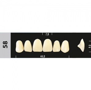 Стоматорг - Зубы Major B4 58, 28 шт (Super Lux)
