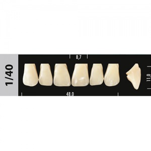 Стоматорг - Зубы Major B1  1/40 фронтальный верх, 6 шт (Super Lux).