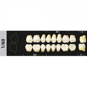 Стоматорг - Зубы Major A2 1/60 жевательный низ, 8 шт (Super Lux).