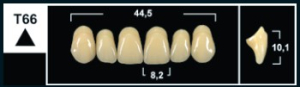 Стоматорг - Зубы Yeti A1 T66 фронтальный верх (Tribos) 6 шт.