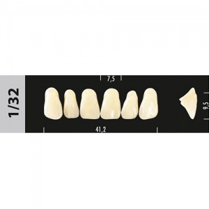 Стоматорг - Зубы Major D2  1/32 фронтальный верх, 6 шт (Super Lux)