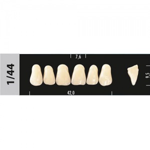 Стоматорг - Зубы Major A2  1/44 фронт.верх, 6 шт (Super Lux)