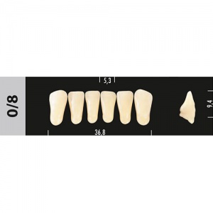 Стоматорг - Зубы Major A2 0/8 фронт.низ, 6 шт (Super Lux)