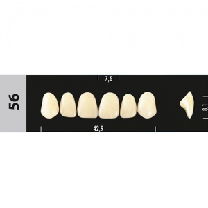 Стоматорг - Зубы Major B2  56 фронтальный верх, 6 шт (Super Lux).