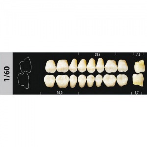 Стоматорг - Зубы Major D4 1/60 жевательный низ, 8 шт (Super Lux)