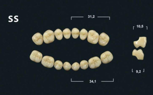 Стоматорг - Зубы Yeti BL3 SS жевательный верх (Tribos) 8 шт.