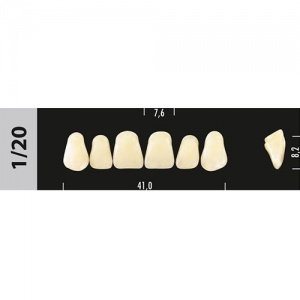 Стоматорг - Зубы Major D3 1/20, 28 шт (Super Lux)