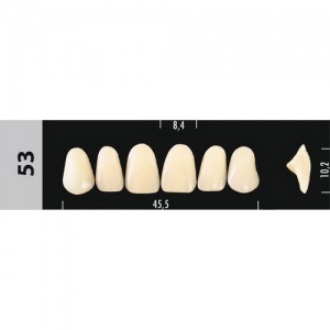 Стоматорг - Зубы Major D4 53, 28 шт (Super Lux)