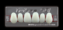 Стоматорг - Зубы Yeti BL3 VR16 фронтальный верх (Tribos) 6 шт.