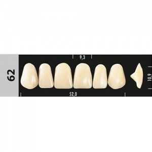 Стоматорг - Зубы Major D3 62, 28 шт (Super Lux)