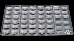 Стоматорг - Модуль Exocad Tooth Library. Дополнительная библиотека естественных зубов