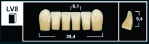 Стоматорг - Зубы Yeti A2 LV8 фронтальная группа, нижние (Tribos) 6 шт.
