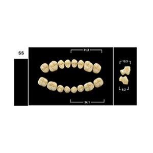 Стоматорг - Зубы Yeti A2 SS жевательный низ (Tribos) 8 шт.