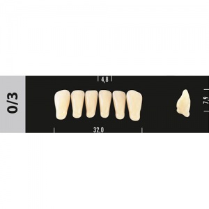 Стоматорг - Зубы Major B2 0/3 фронтальный низ, 6 шт (Super Lux).