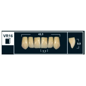 Стоматорг - Зубы Yeti C4 VR16 фронтальный верх (Tribos) 6 шт. 