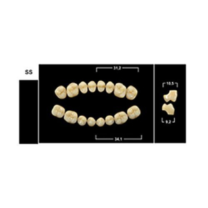Стоматорг - Зубы Yeti B4 SS жевательный низ (Tribos) 8 шт. 