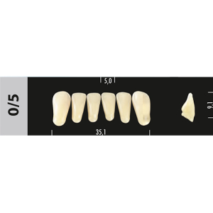 Стоматорг - Зубы Major B4 0/5 фронтальный низ, 6 шт (Super Lux).
