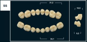 Стоматорг - Зубы Yeti C2 SS жевательный низ (Tribos) 8 шт.
