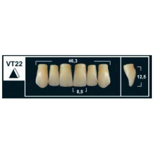 Стоматорг - Зубы Yeti B3 VT22 фронтальный верх (Tribos) 6 шт.